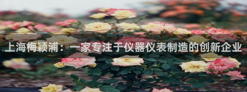 恒行娱乐吕74OOO5：上海梅颖浦：一家专注于仪器仪表制造的