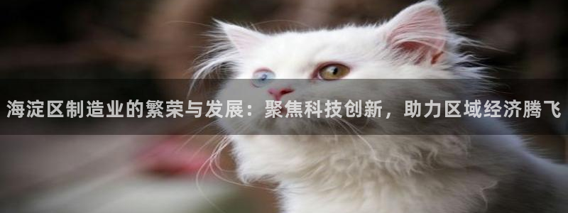恒行2尤74OOO5：海淀区制造业的繁荣与发展：聚焦科技创新