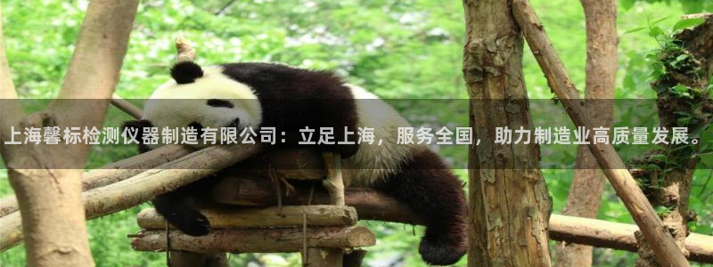 恒行2尤74OOO5：上海馨标检测仪器制造有限公司：立足上海