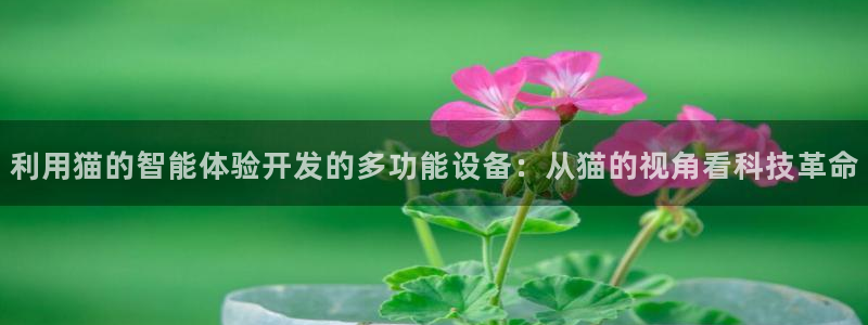 恒行注册招收6ll5l指定：利用猫的智能体验开发的多功能设备