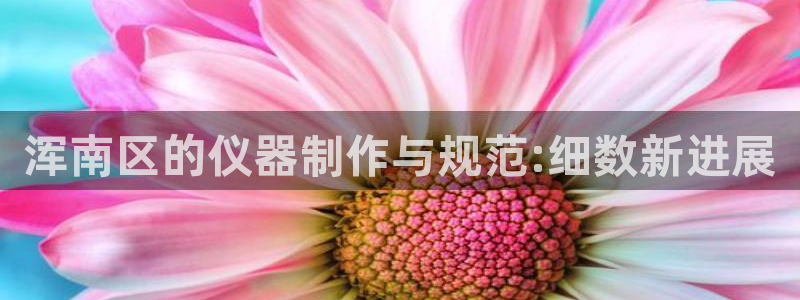 恒行主管招收 6ll5l出奇：浑南区的仪器制作与规范:细数新
