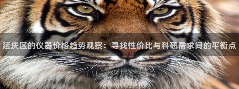 恒行娱乐河沂74ooo5程：延庆区的仪器价格趋势观察：寻找性