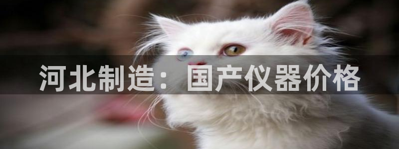恒行娱乐登录5ll533主管一流：河北制造：国产仪器价格