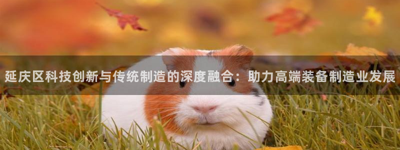 恒行开户全2O5o5O：延庆区科技创新与传统制造的深度融合：