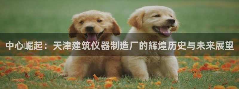 恒行娱乐蜗74ooo5指磁：中心崛起：天津建筑仪器制造厂的辉