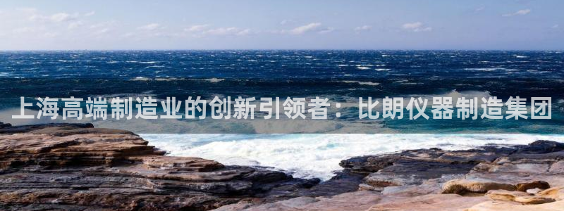 恒行娱乐登录5ll533主管一流：上海高端制造业的创新引领者