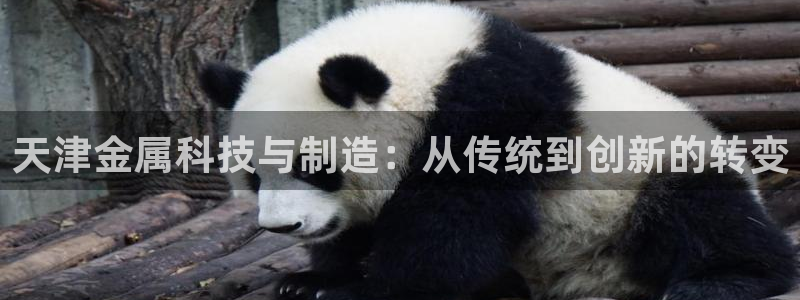 恒行娱乐寻问74 5：天津金属科技与制造：从传统到创新的转变
