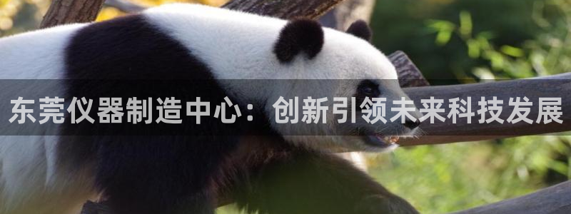 恒行娱乐毓婆74ooo5仪