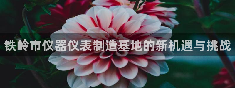 恒行5：铁岭市仪器仪表制造基地的新机遇与挑战