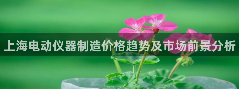 恒行2卫74OOO5：上海电动仪器制造价格趋势及市场前景分析