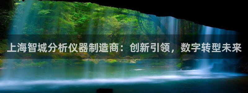 恒在5行中代表什么数字：上海智城分析仪器制造商：创新引领，数