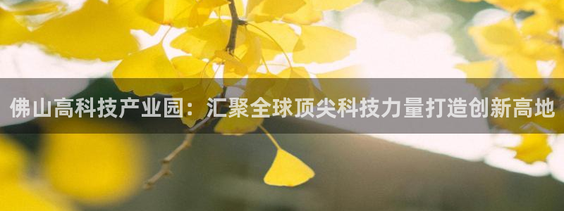恒行2郑74OOO5：佛山高科技产业园：汇聚全球顶尖科技力量