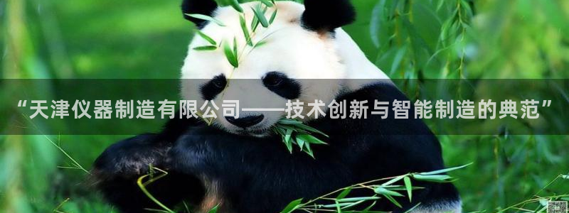 恒行招商老大诚挚 6ll5l：“天津仪器制造有限公司——技术