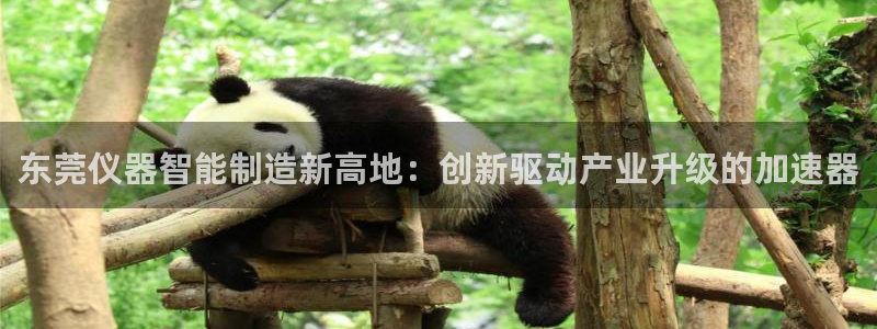 恒行娱乐老板推荐5ll533主管：东莞仪器智能制造新高地：创