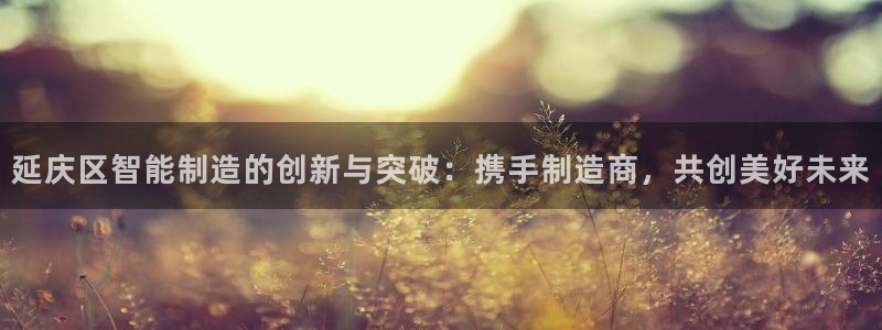 恒行娱乐吴74OOO5：延庆区智能制造的创新与突破：携手制造
