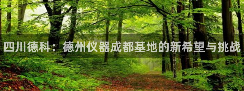 恒行代理总代主导 6ll5l：四川德科：德州仪器成都基地的新