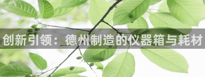 恒行主管总代6ll5l周至：创新引领：德州制造的仪器箱与耗材