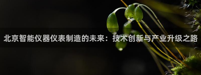 恒行3乃5O6917：北京智能仪器仪表制造的未来：技术创新与
