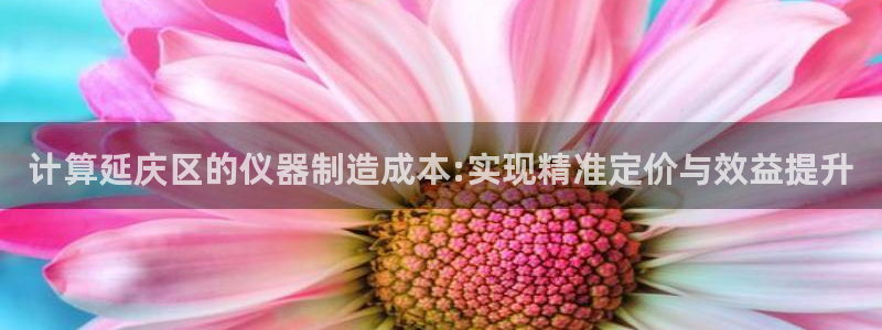恒行娱乐蜗74ooo5指磁：计算延庆区的仪器制造成本:实现精