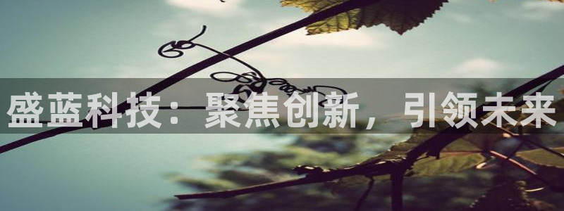 恒行2卫74OOO5：盛蓝科技：聚焦创新，引领未来