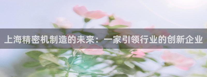 恒行招商老大诚挚 6ll5l：上海精密机制造的未来：一家引领