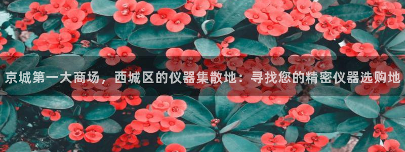 恒行5：京城第一大商场，西城区的仪器集散地：寻找您的精密仪器