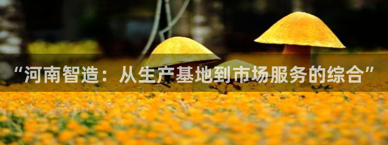 恒行2郑74OOO5：“河南智造：从生产基地到市场服务的综合