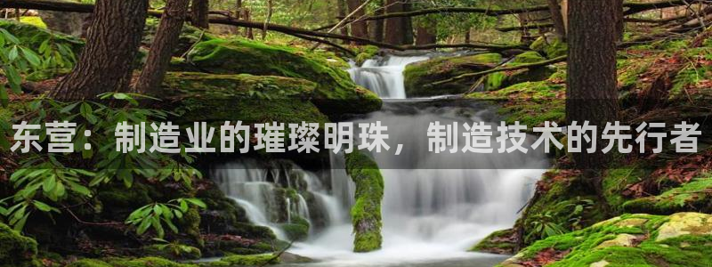 恒行娱乐登录信用 74ooo5：东营：制造业的璀璨明珠，制造