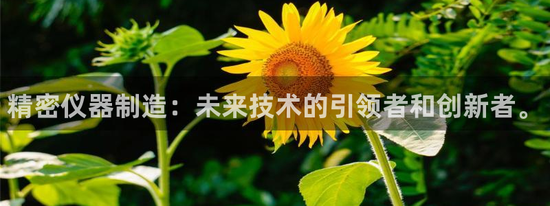 恒指5行情 如来再我心：精密仪器制造：未来技术的引领者和创新