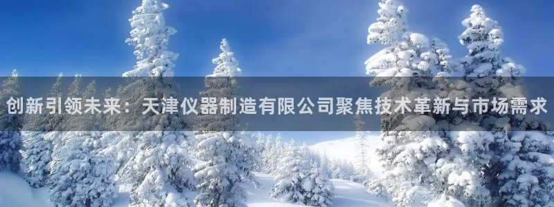 恒行2下74OOO5：创新引领未来：天津仪器制造有限公司聚焦