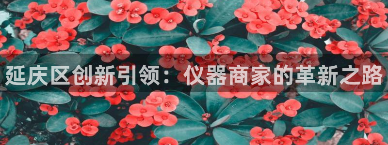 恒行3乃5O6917：延庆区创新引领：仪器商家的革新之路