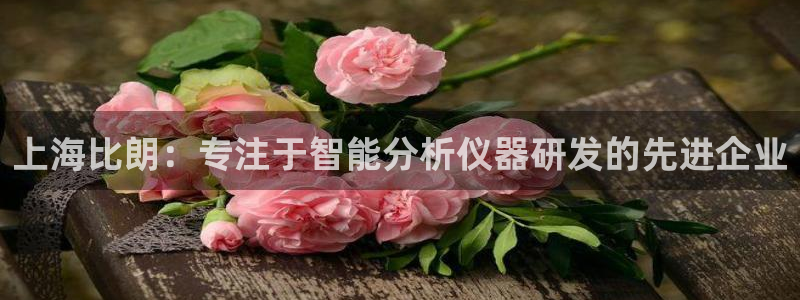 恒行主管招收 6ll5l出奇：上海比朗：专注于智能分析仪器研