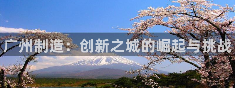恒行招商老大诚挚 6ll5l：广州制造：创新之城的崛起与挑战