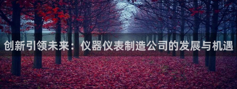恒行娱乐蜗74ooo5指磁：创新引领未来：仪器仪表制造公司的