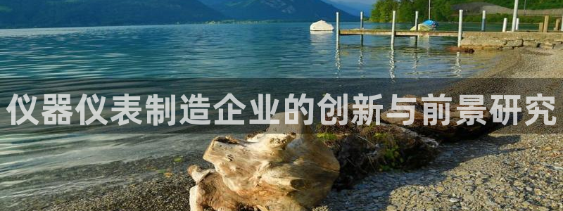 恒行2下74OO5：仪器仪表制造企业的创新与前景研究