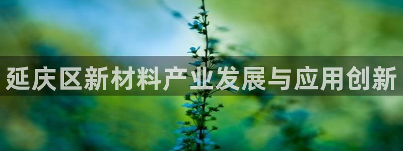 恒行2卫74OOO5：延庆区新材料产业发展与应用创新