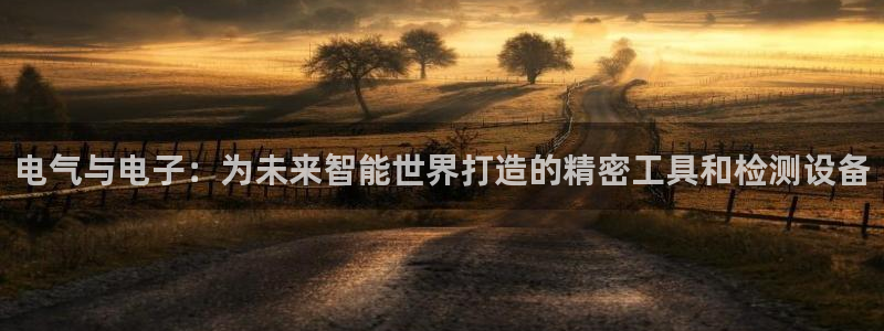 恒行娱乐吕74OOO5：电气与电子：为未来智能世界打造的精密