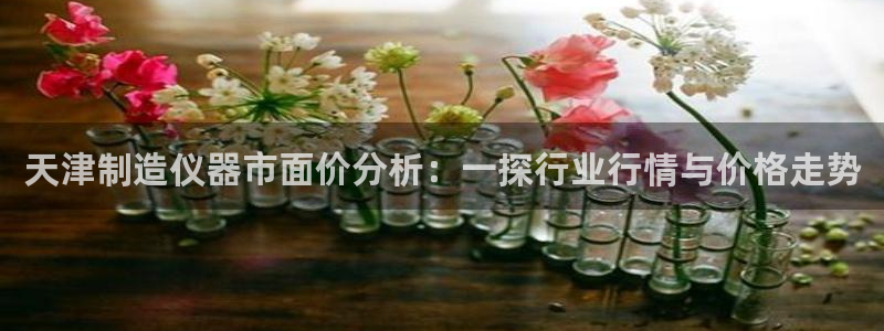 恒行2许74OOO5：天津制造仪器市面价分析：一探行业行情与