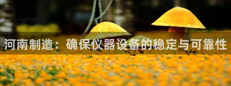 恒行娱乐毓婆74ooo5仪：河南制造：确保仪器设备的稳定与可