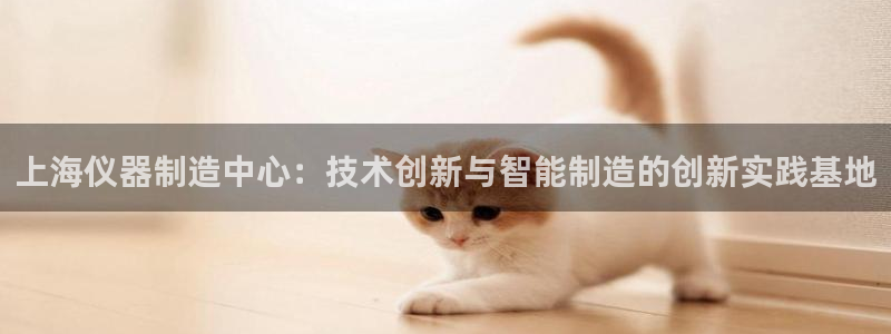 恒指5行情 如来再我心：上海仪器制造中心：技术创新与智能制造