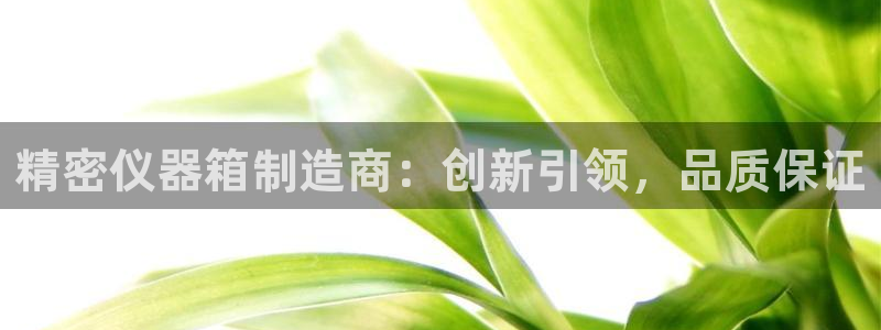 恒行彩票亏5千：精密仪器箱制造商：创新引领，品质保证
