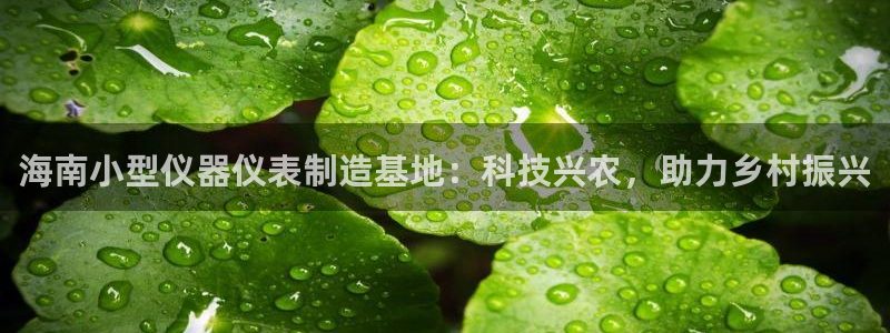 恒行2沈74OOO5：海南小型仪器仪表制造基地：科技兴农，助