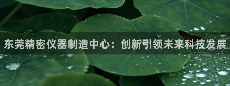 恒行2那74OOO5：东莞精密仪器制造中心：创新引领未来科技