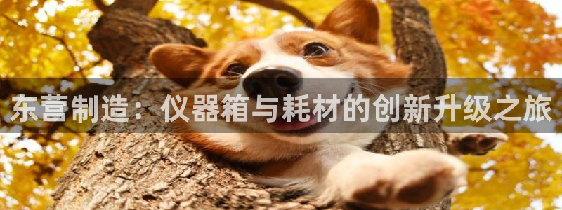 恒行2陈74OOO5：东营制造：仪器箱与耗材的创新升级之旅