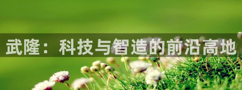恒行娱乐5ll533主管正直：武隆：科技与智造的前沿高地