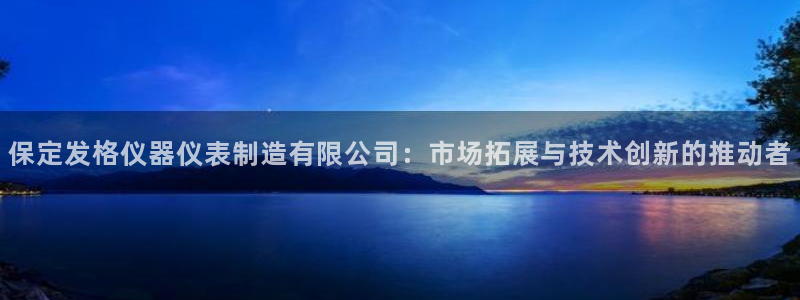 恒行注册全2O5O5O：保定发格仪器仪表制造有限公司：市场拓