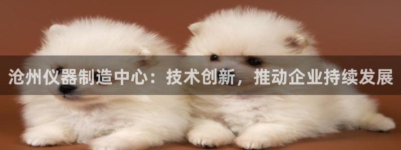恒行娱乐掏沂74ooo5弛：沧州仪器制造中心：技术创新，推动