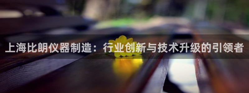 恒行登录老大6ll5l典型：上海比朗仪器制造：行业创新与技术