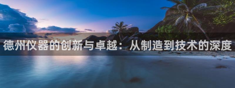 恒行登录老大6ll5l典型：德州仪器的创新与卓越：从制造到技