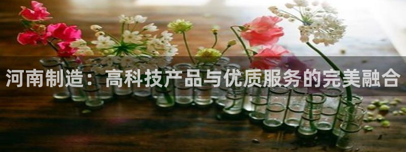 恒行2下74OO5：河南制造：高科技产品与优质服务的完美融合